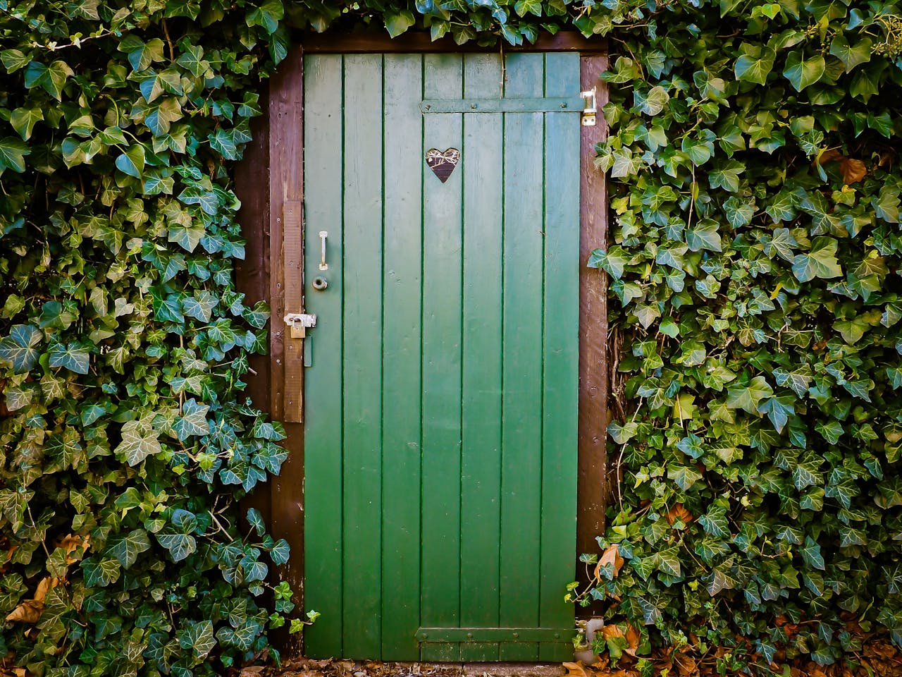 services-03 A vibrant green wooden door surrounded by lush ivy, creating a natural and rustic entrance.